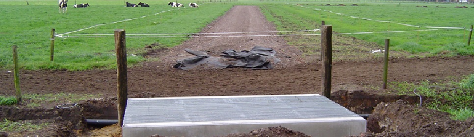 houten poorten poort eiken poorten